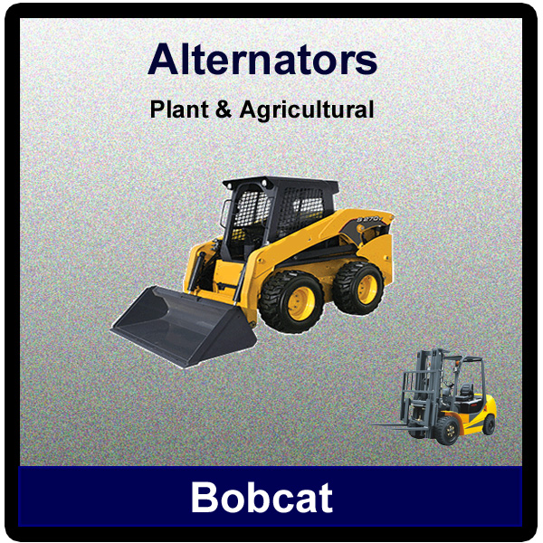 Bobcat