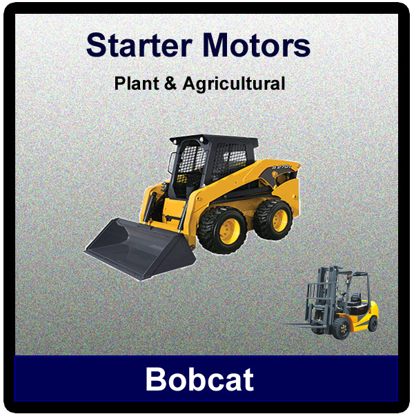 Bobcat